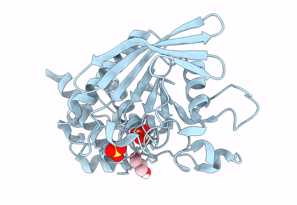 8SLU image