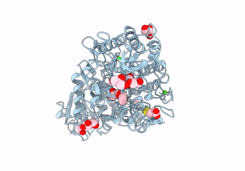 8SLV image