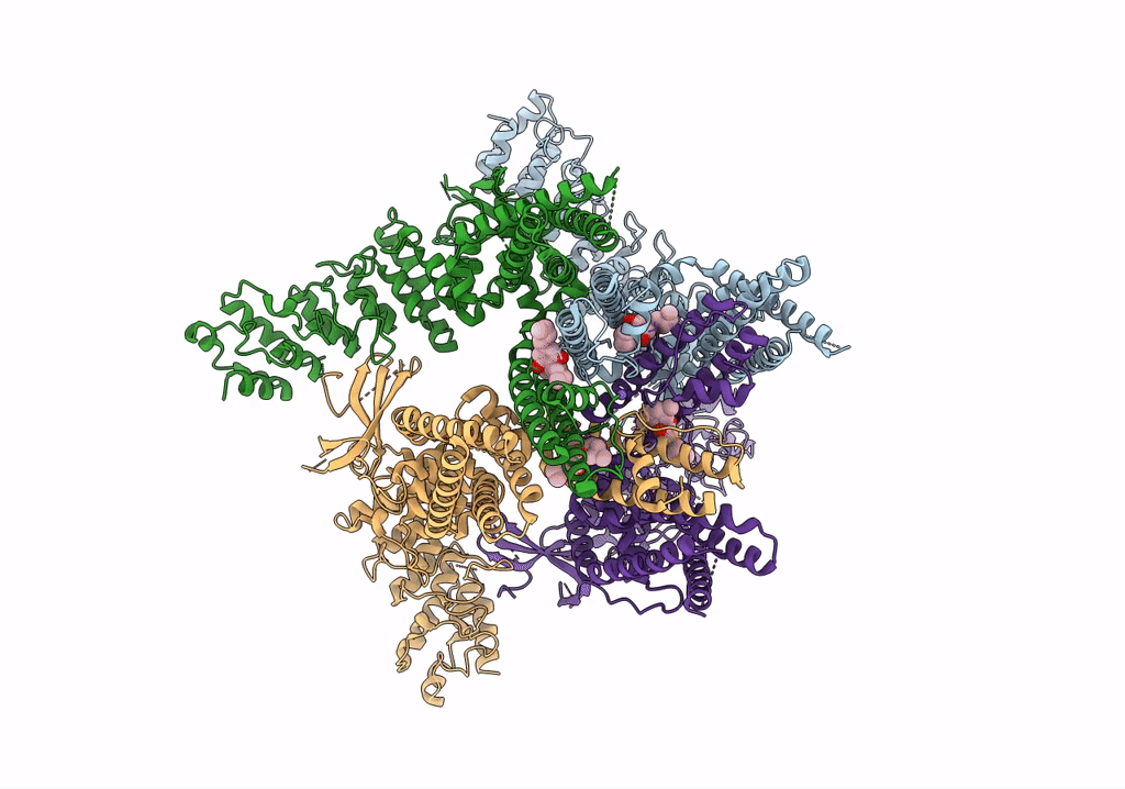 8SLX image