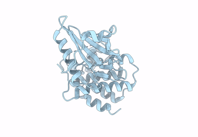 8SLZ image