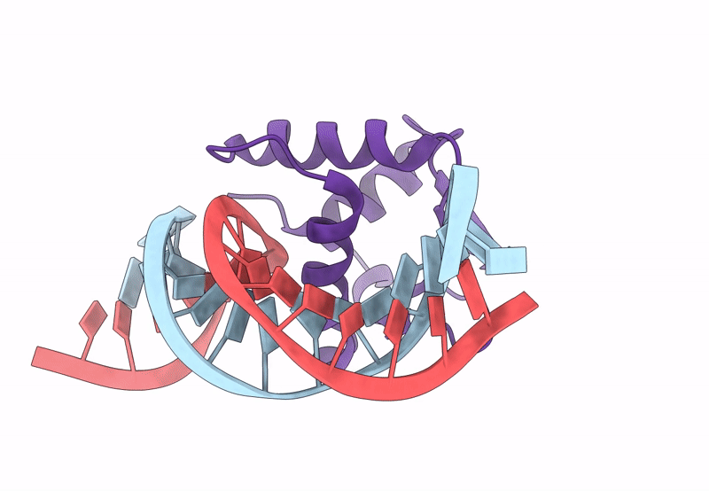 8SMJ image