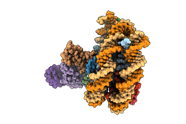 8SNA image