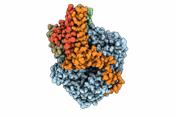8SNX image