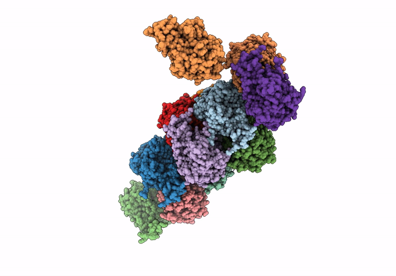 8SP2 image