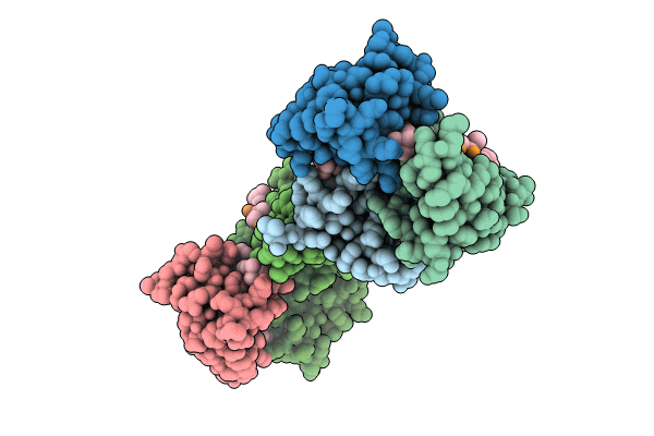 8SP6 image