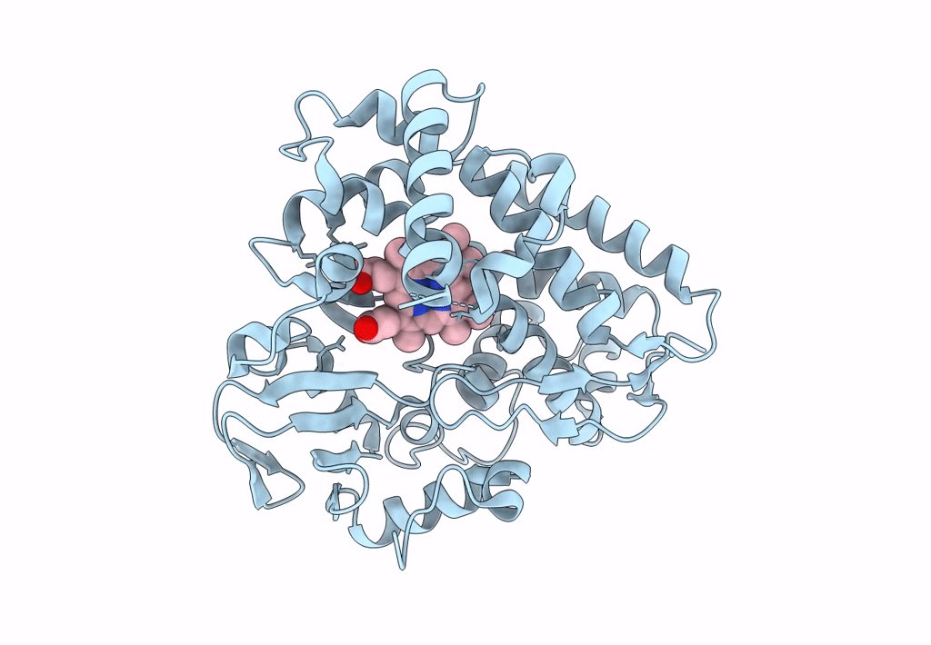 8SPP image