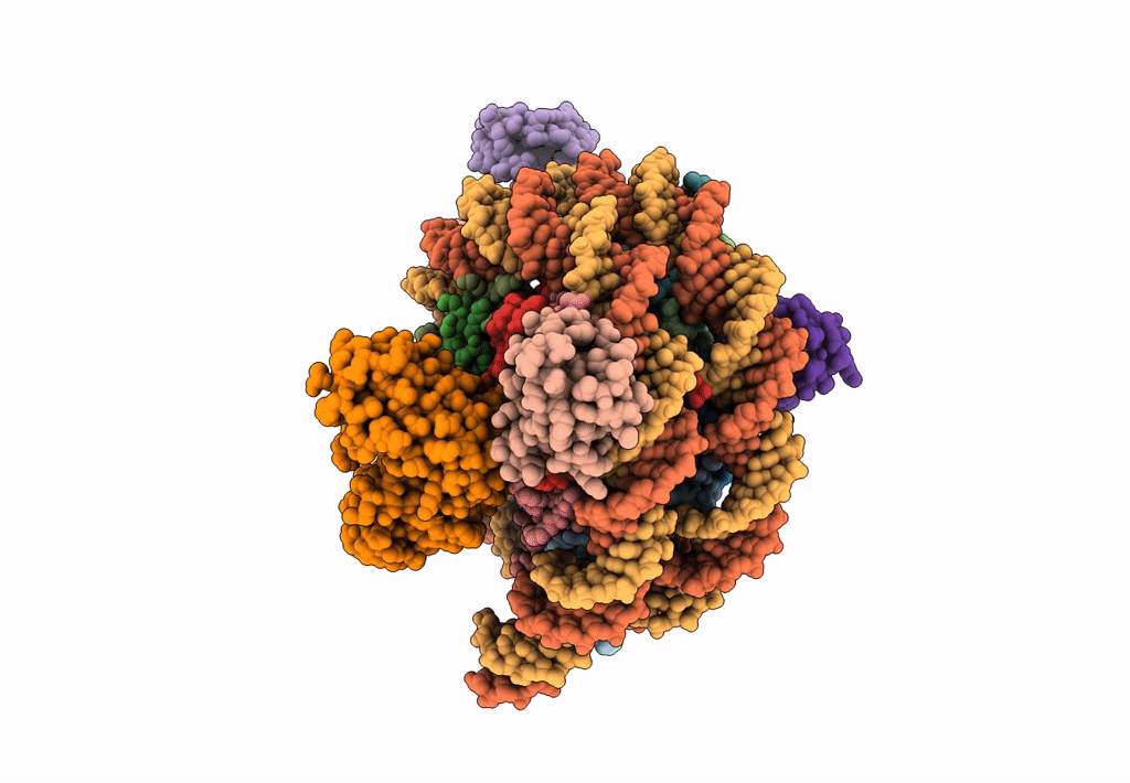 8SPS image