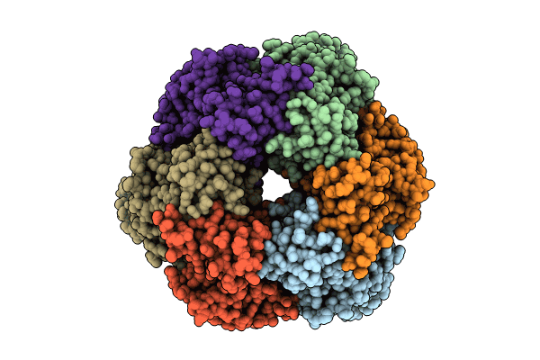 8SPV image
