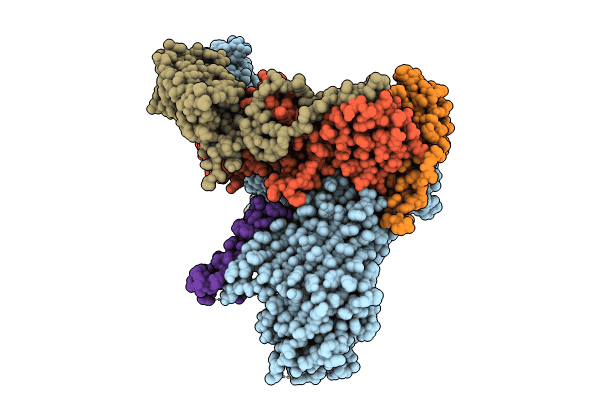 8SQB image