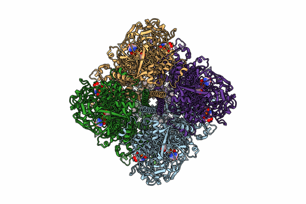 8SRE image