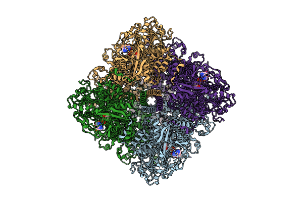 8SRG image