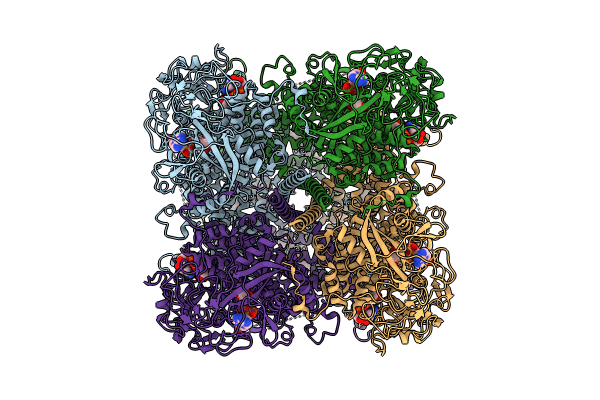 8SRH image