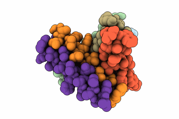 8SRN image