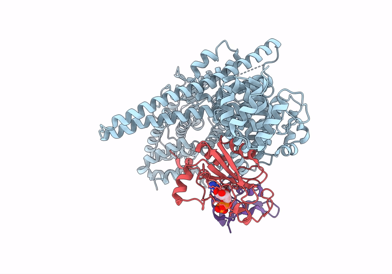 8SRR image