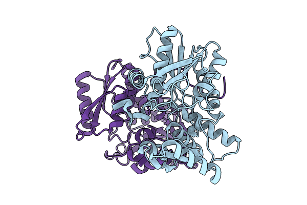 8SRT image