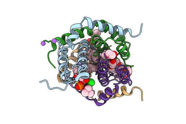 8SRX image