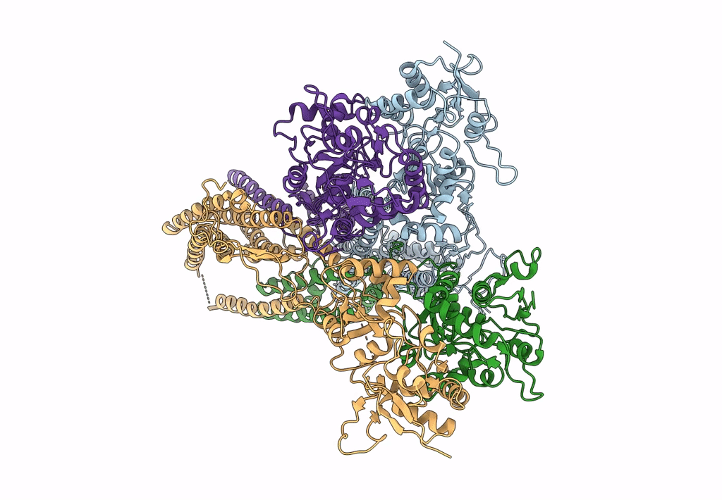 8SS5 image