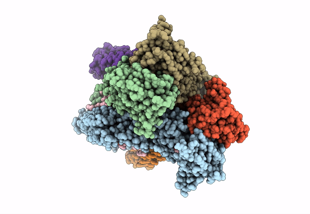 8SS7 image