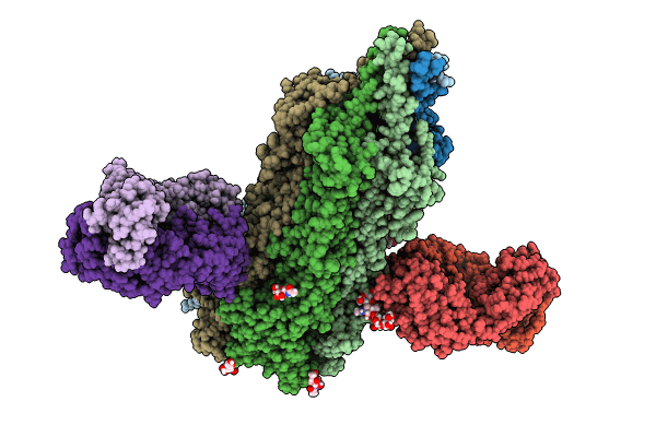 8SSZ image