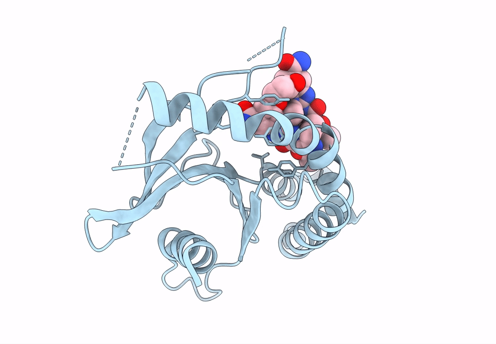 8STI image
