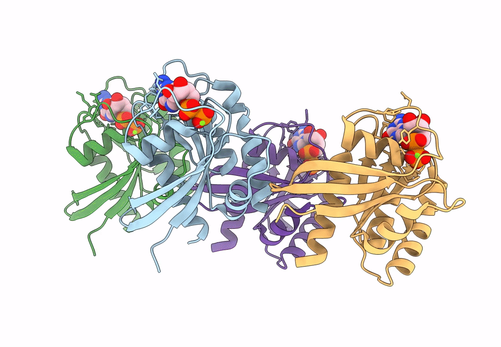 8STM image