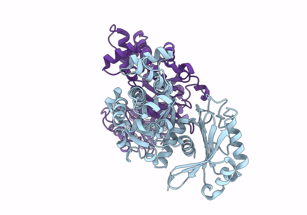 8STX image