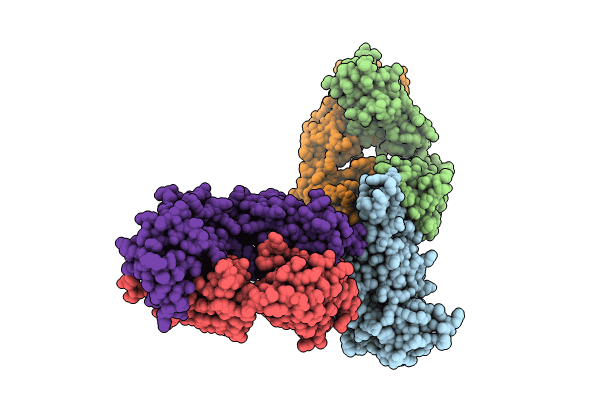 8SUO image