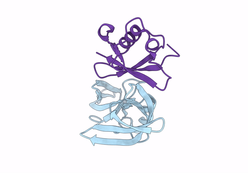 8SVH image