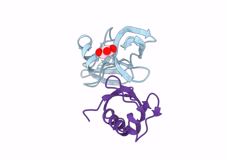 8SVI image