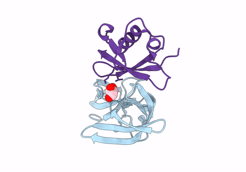 8SVJ image
