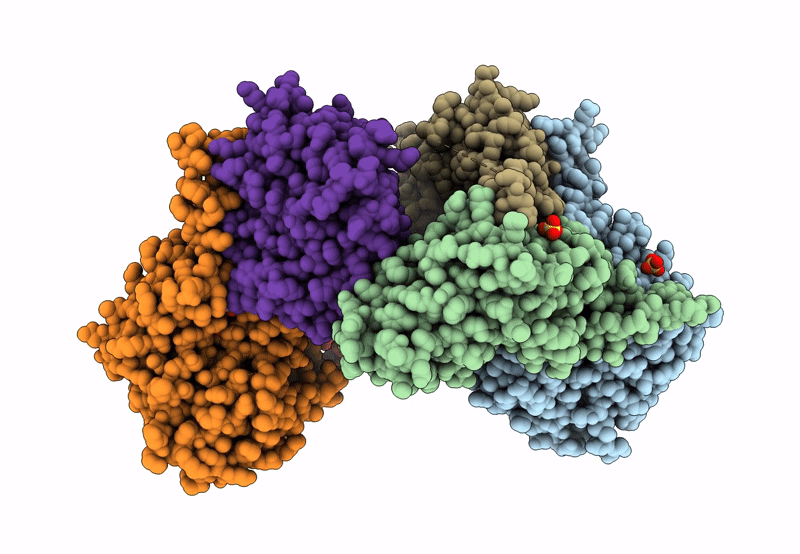 8SWS image
