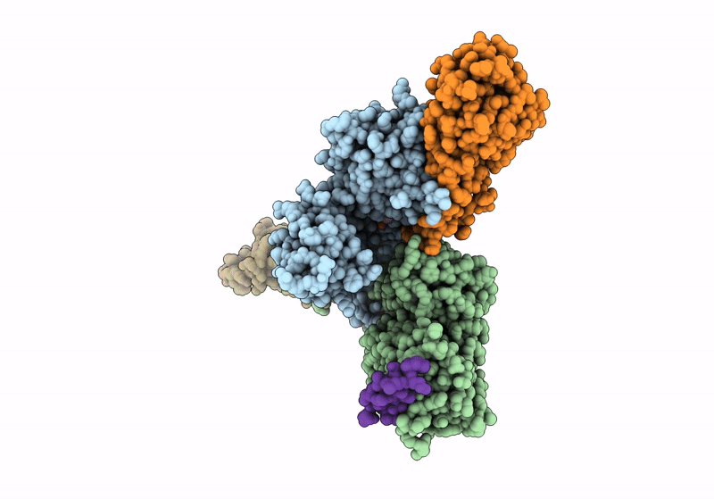 8SXE image