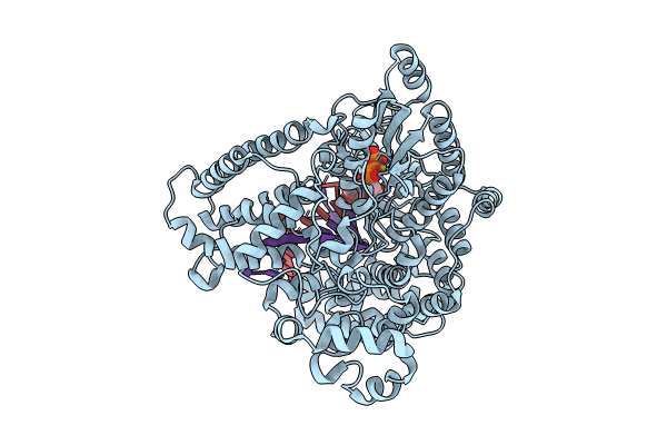 8SXT image