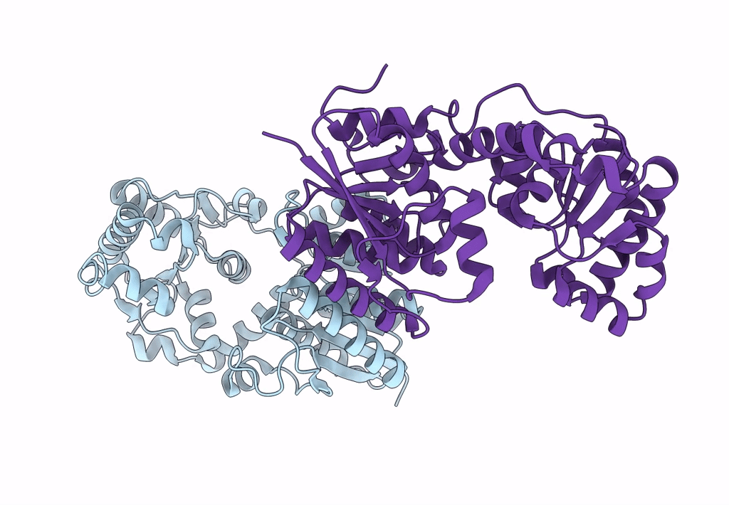 8SXV image