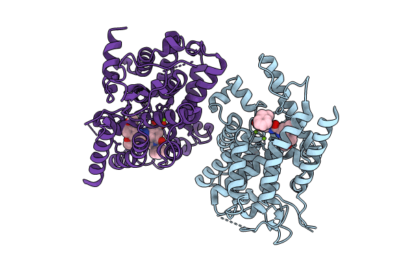 8SYC image