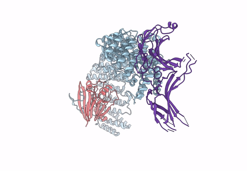 8SYN image