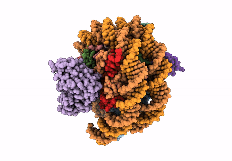 8SYP image
