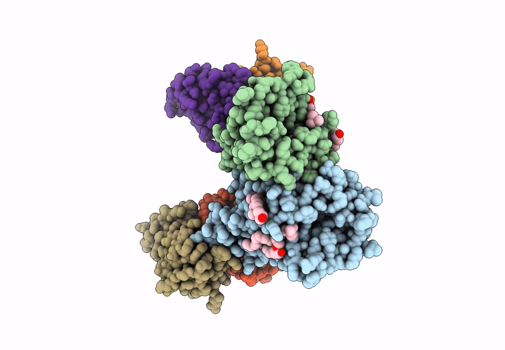 8T04 image