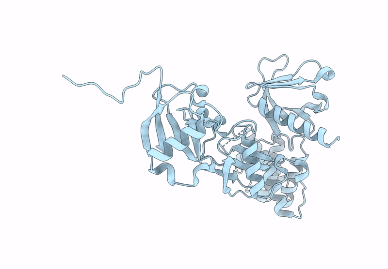 8T0A image
