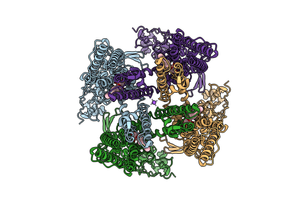 8T0C image