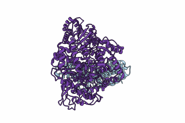 8T12 image