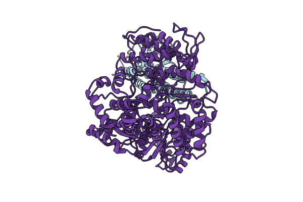 8T13 image