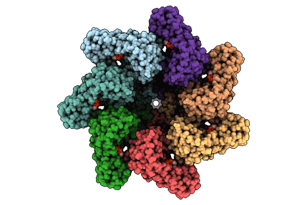 8T14 image