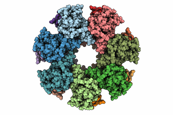 8T17 image