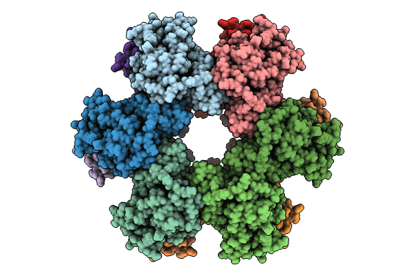 8T18 image