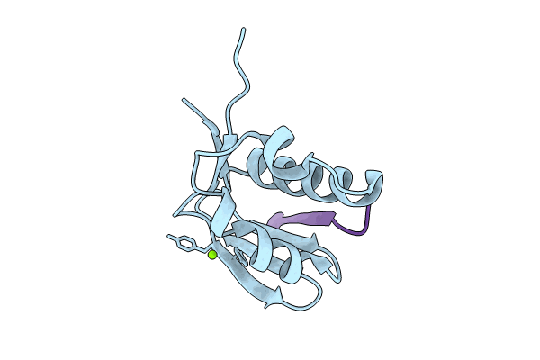 8T19 image