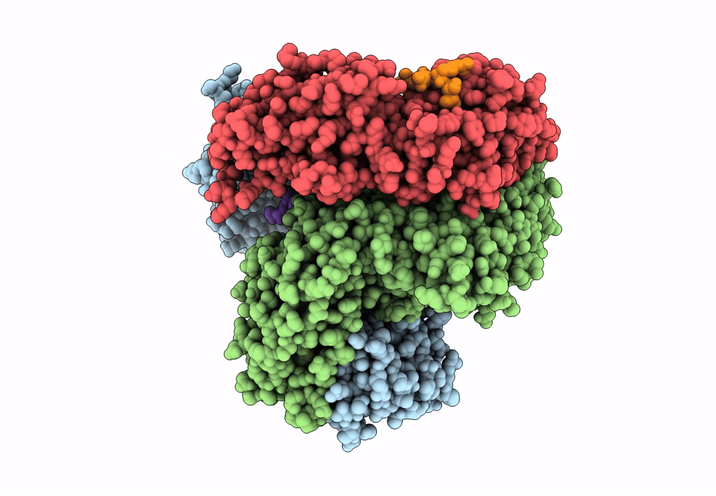 8T1O image
