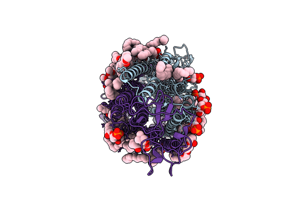 8T1P image