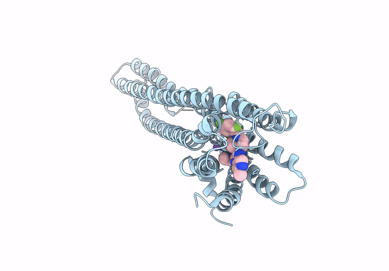 8T1V image