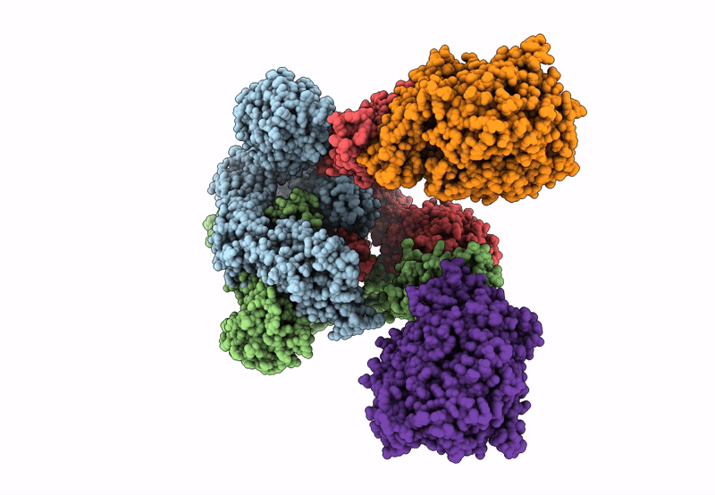 8T20 image